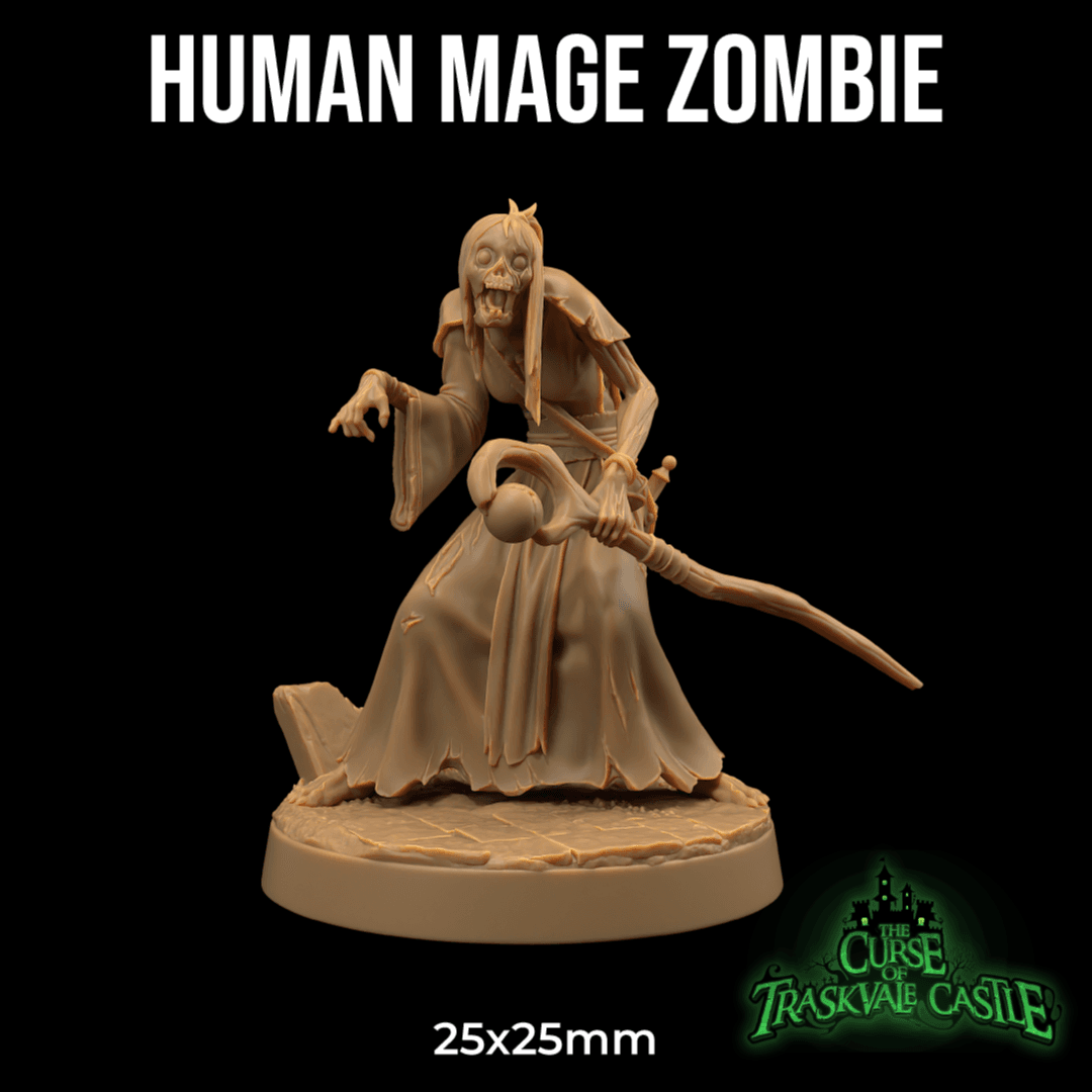 Human Mage Zombie 3d model