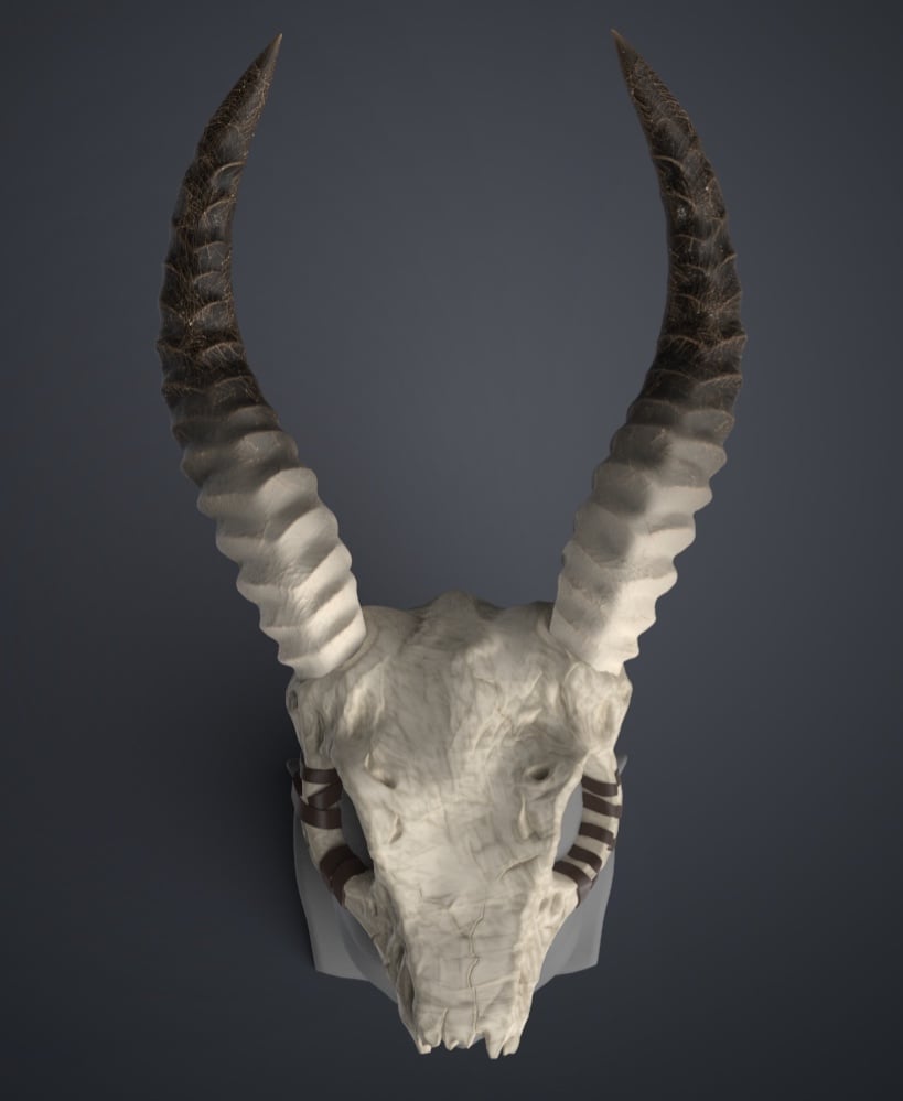 Shaman Skull with Horns 3d model
