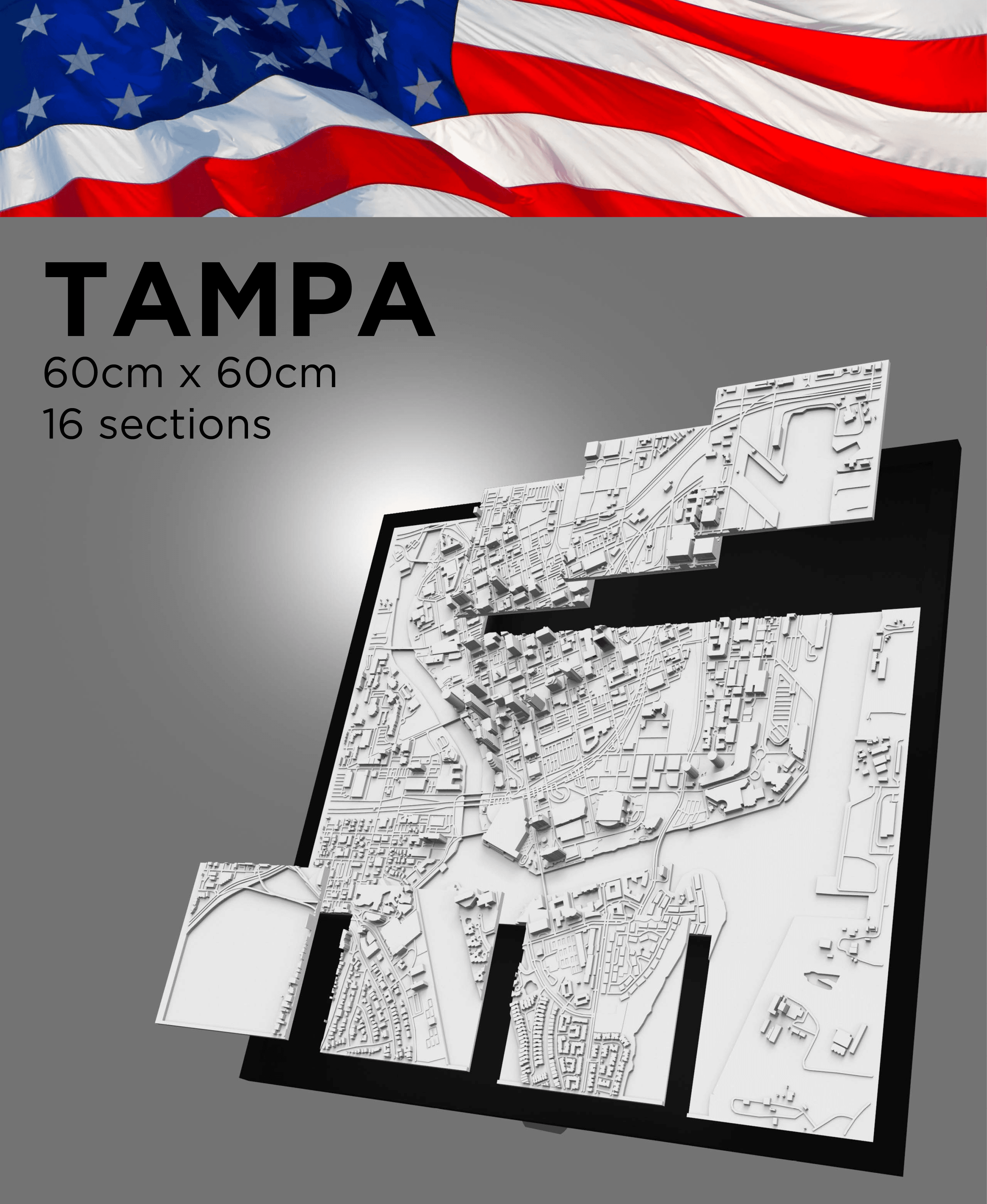 TAMPA, Skyline 3d map 3d model