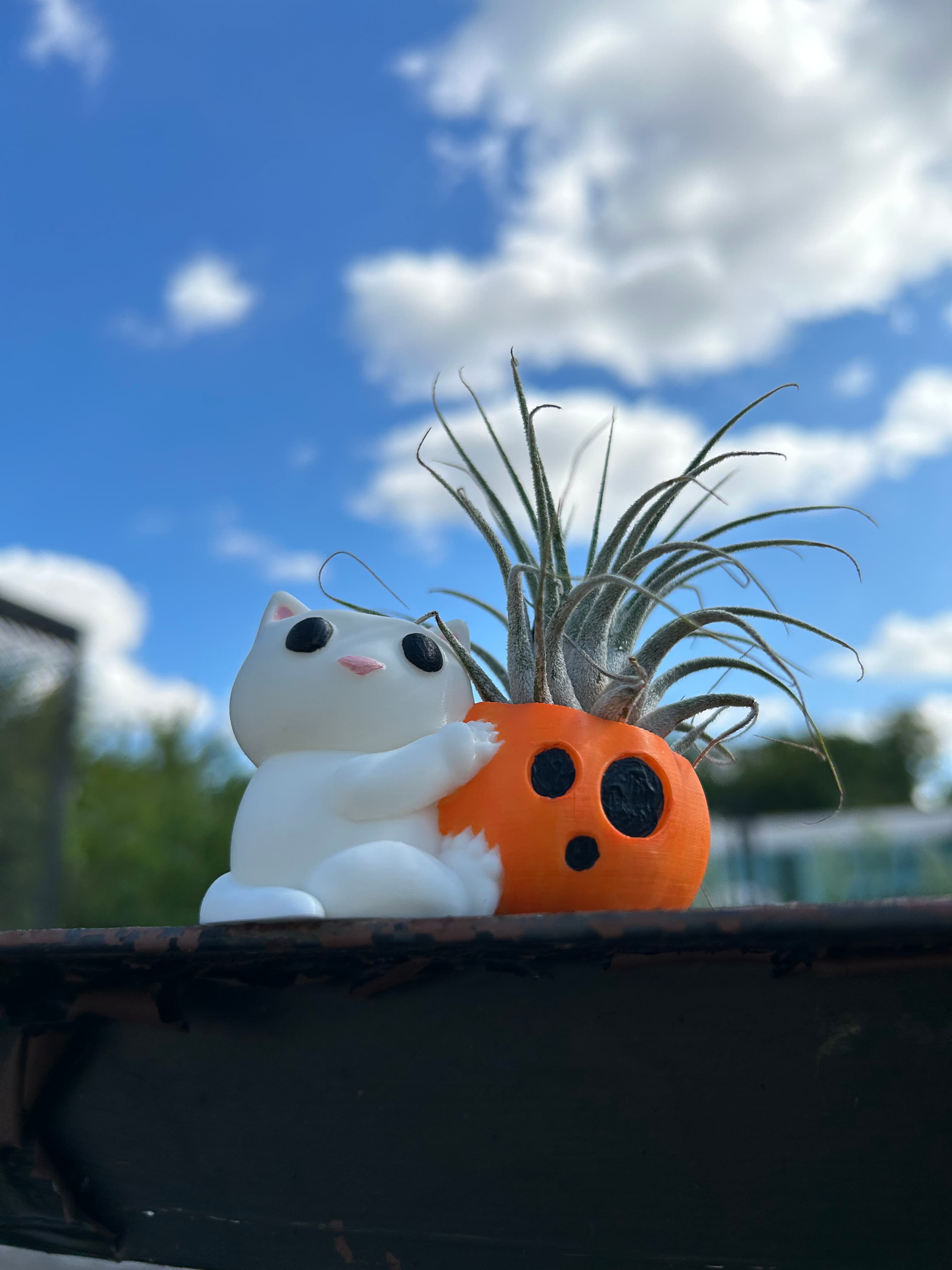 Cat with Pumpkin 3d model