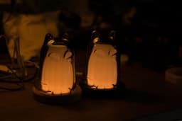 3DCatz Cat Lamp with Ikea Kustfyr Cat 3d model