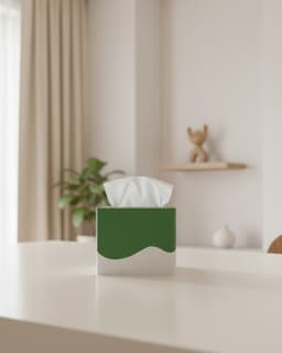 Blowing Skirt Small Tissue Box 3d model