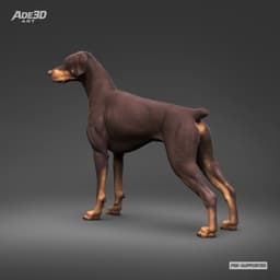 Doberman Pinscher Natural Ears Docked Tail 3D Print Pose 02 3d model