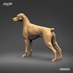 Doberman Pinscher Natural Ears Docked Tail 3D Print Pose 02 3d model