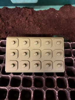 Charles Dowding 15-Cell Seed Tray Tamper & Dibber – 2-in-1 Speed Tool - No-Dig Gardening 3d model