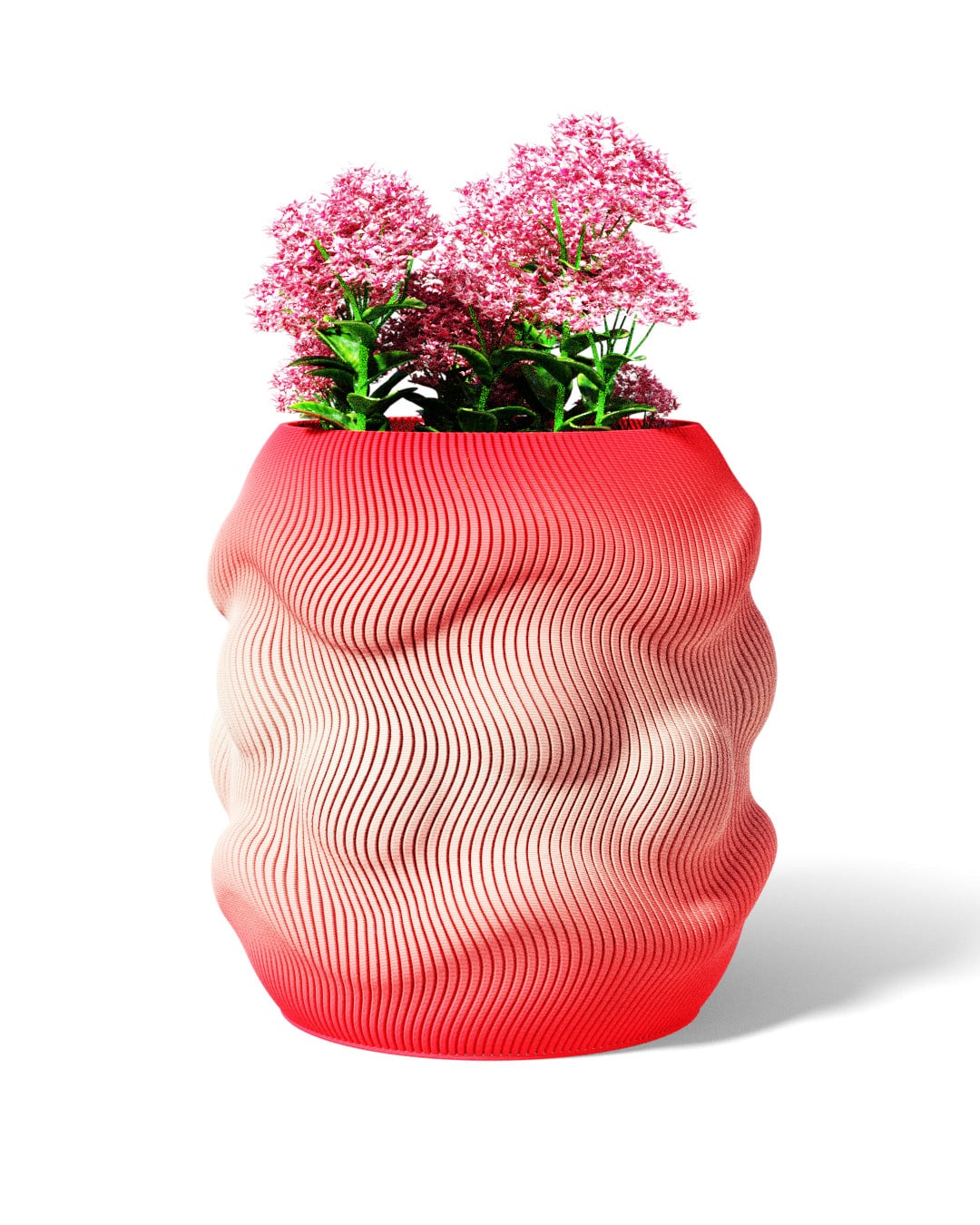 CLAM VASE 3d model