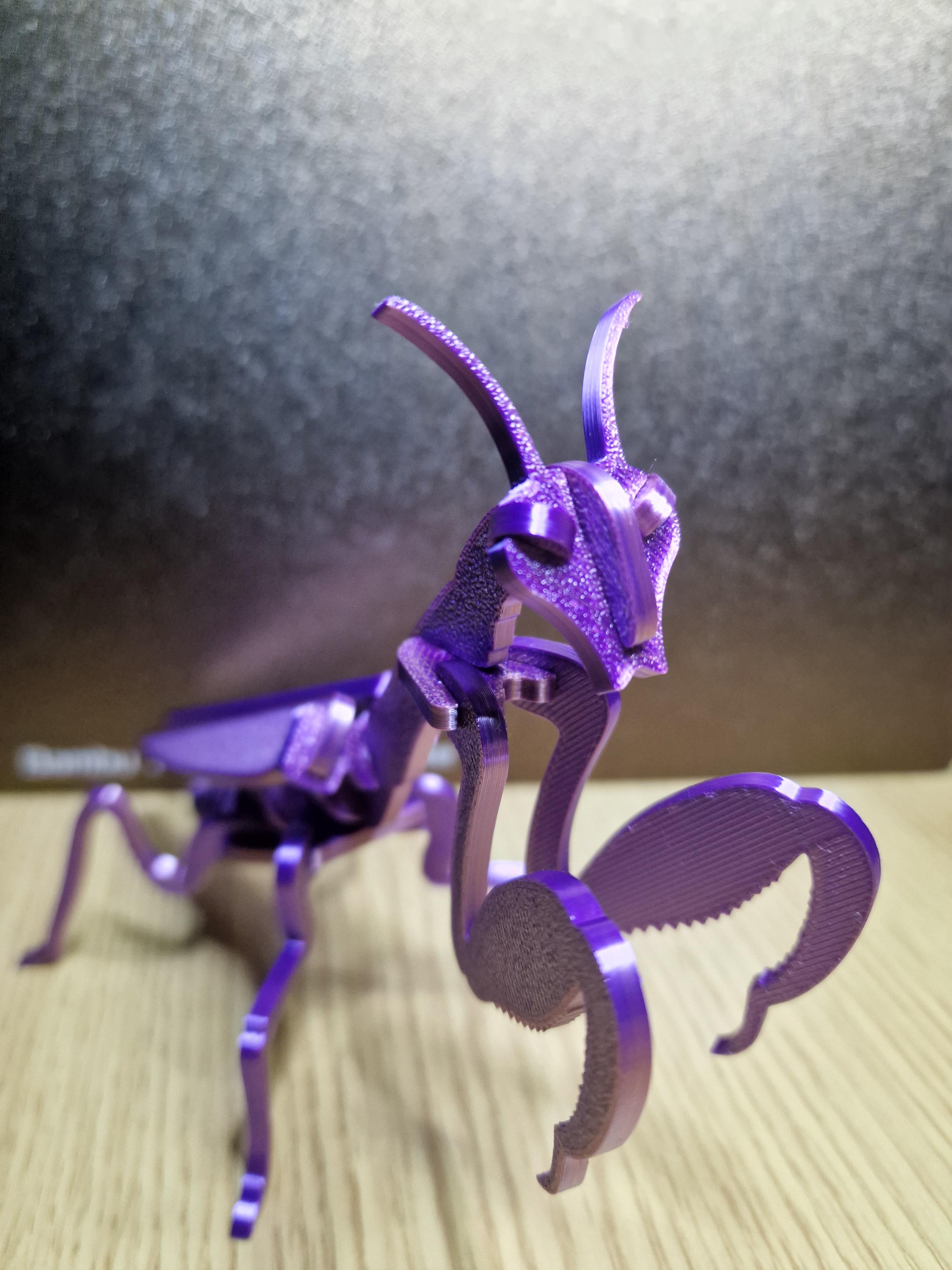Praying Mantis Puzzle Kit (Assembly Video included) 3d model