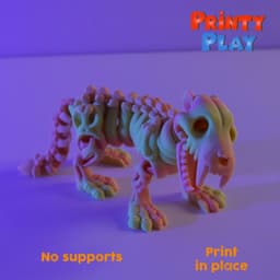 Saber-Toothed Tiger skeleton 3d model