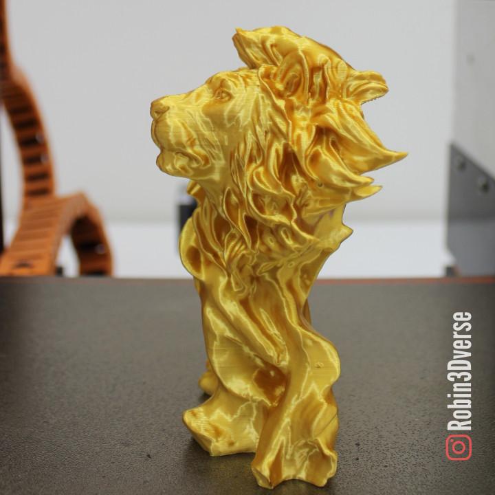 Lion Simba Support Free Remix - Timelapse: https://youtu.be/MEjmaHpqIaw - 3d model