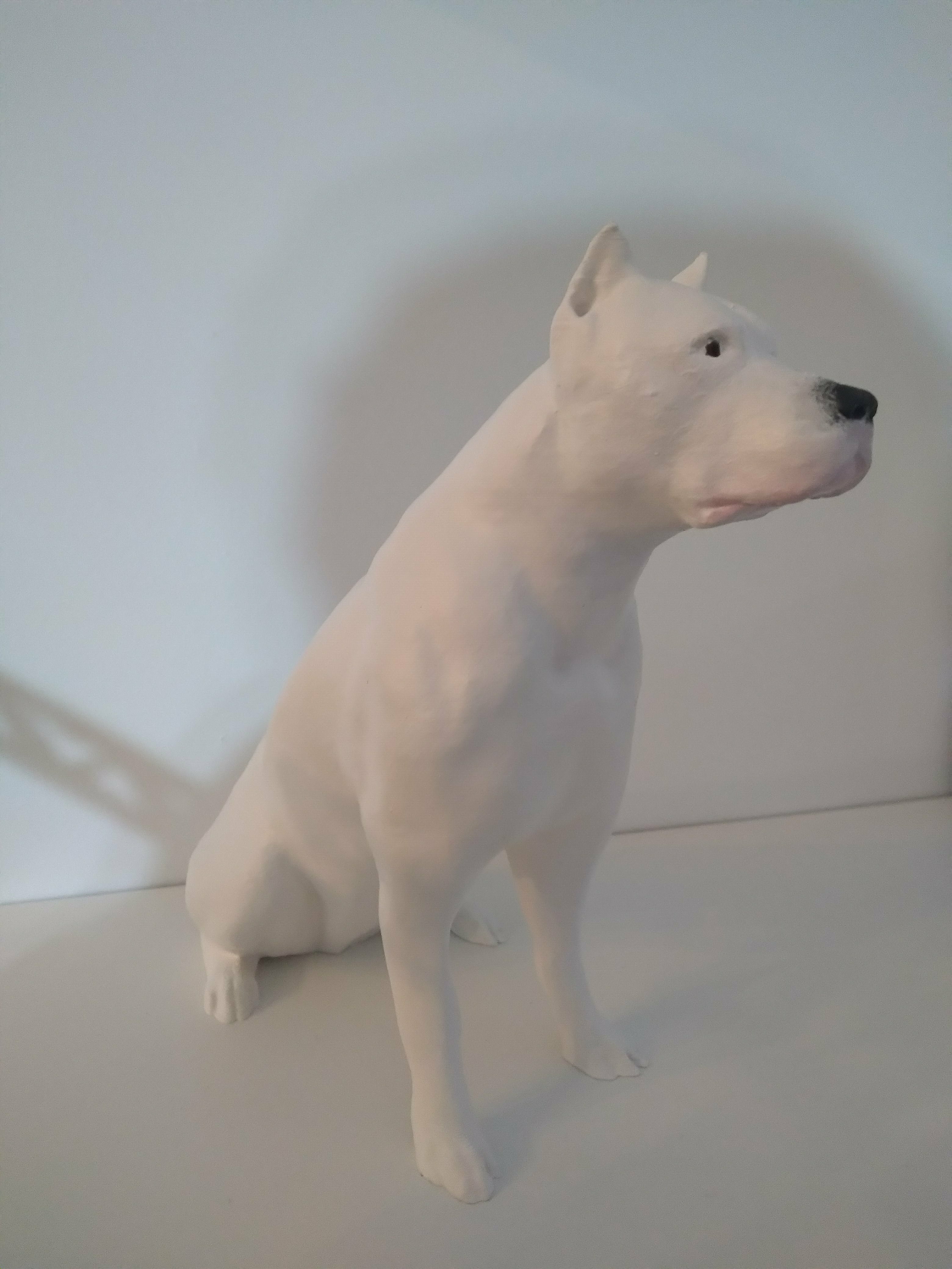 Dogo Argentino 3d model