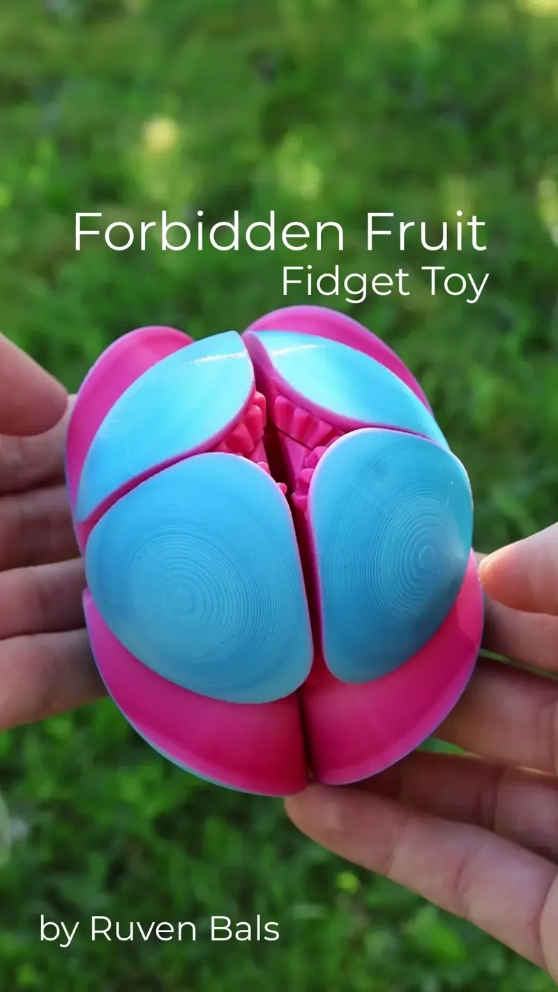 Forbidden Fruit Fidget Toy 3d model