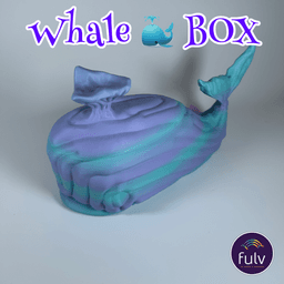 WHALE BOX 3d model
