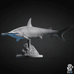 Animals - Ocean Wildlife 3d model