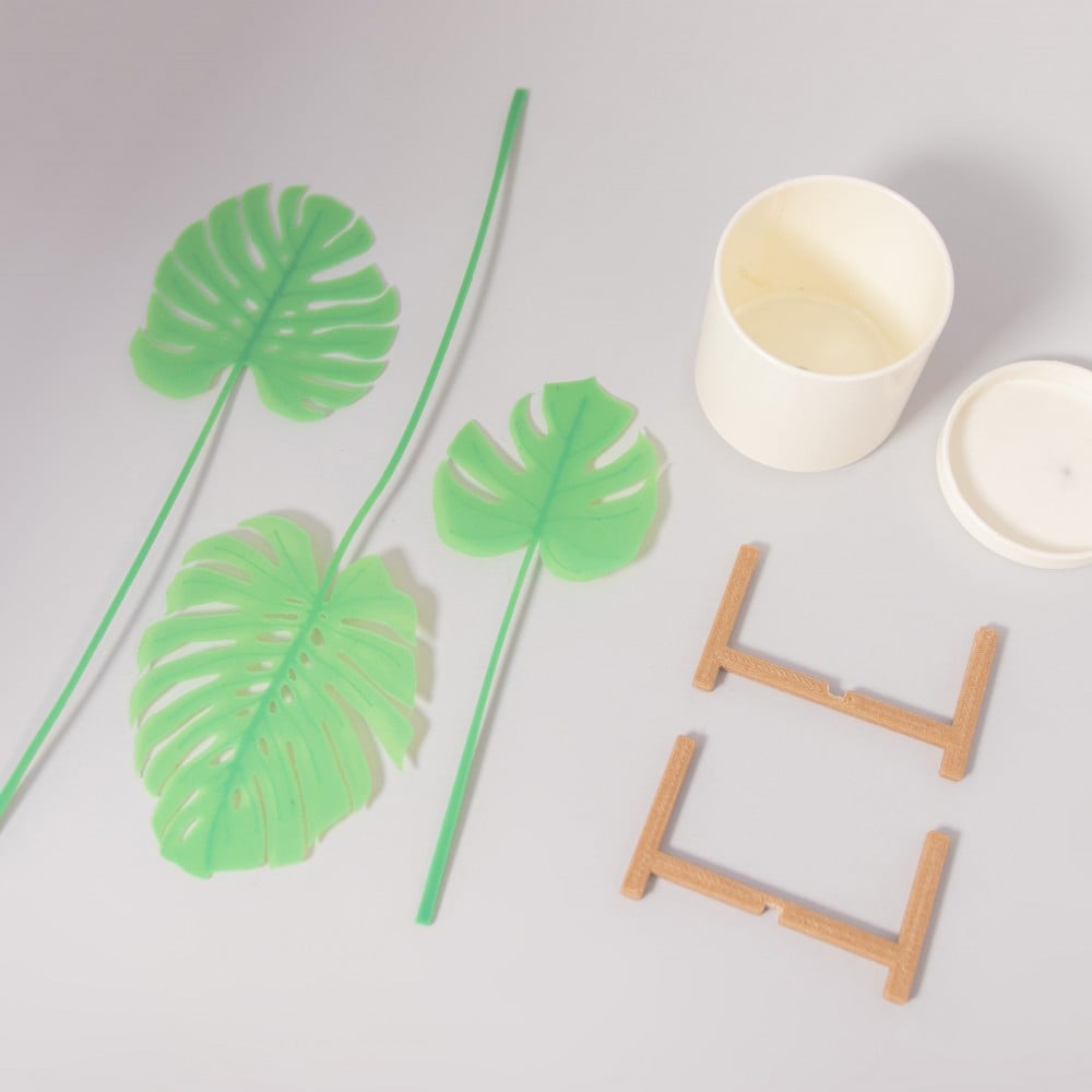Mini Monstera & Planter 3d model