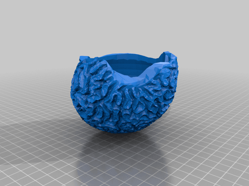 Brain coral skeleton bowl/planter 3d model