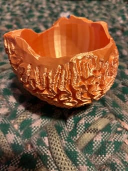 Brain coral skeleton bowl/planter 3d model