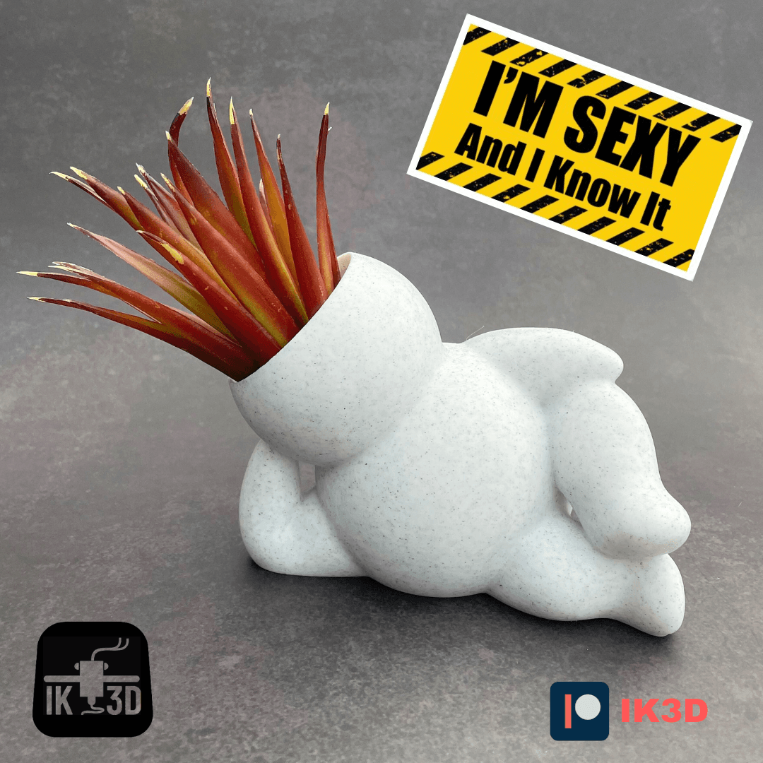 Chunky People Planter Sexy Pose / No Supports 3d model