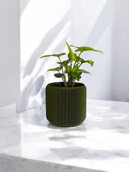 Minimalist Vase Mode Planter Pot 3d model
