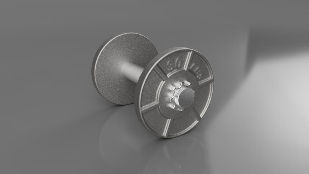60 LB Dumbell 3d model