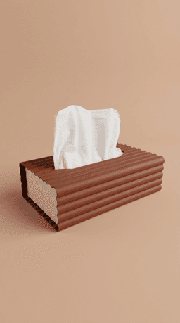 Aura Tissue Box Cover 3d model