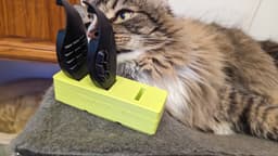 Gridfinity Razer Naga Pro Trinity Thumb Side Holder - Rouss approved. - 3d model
