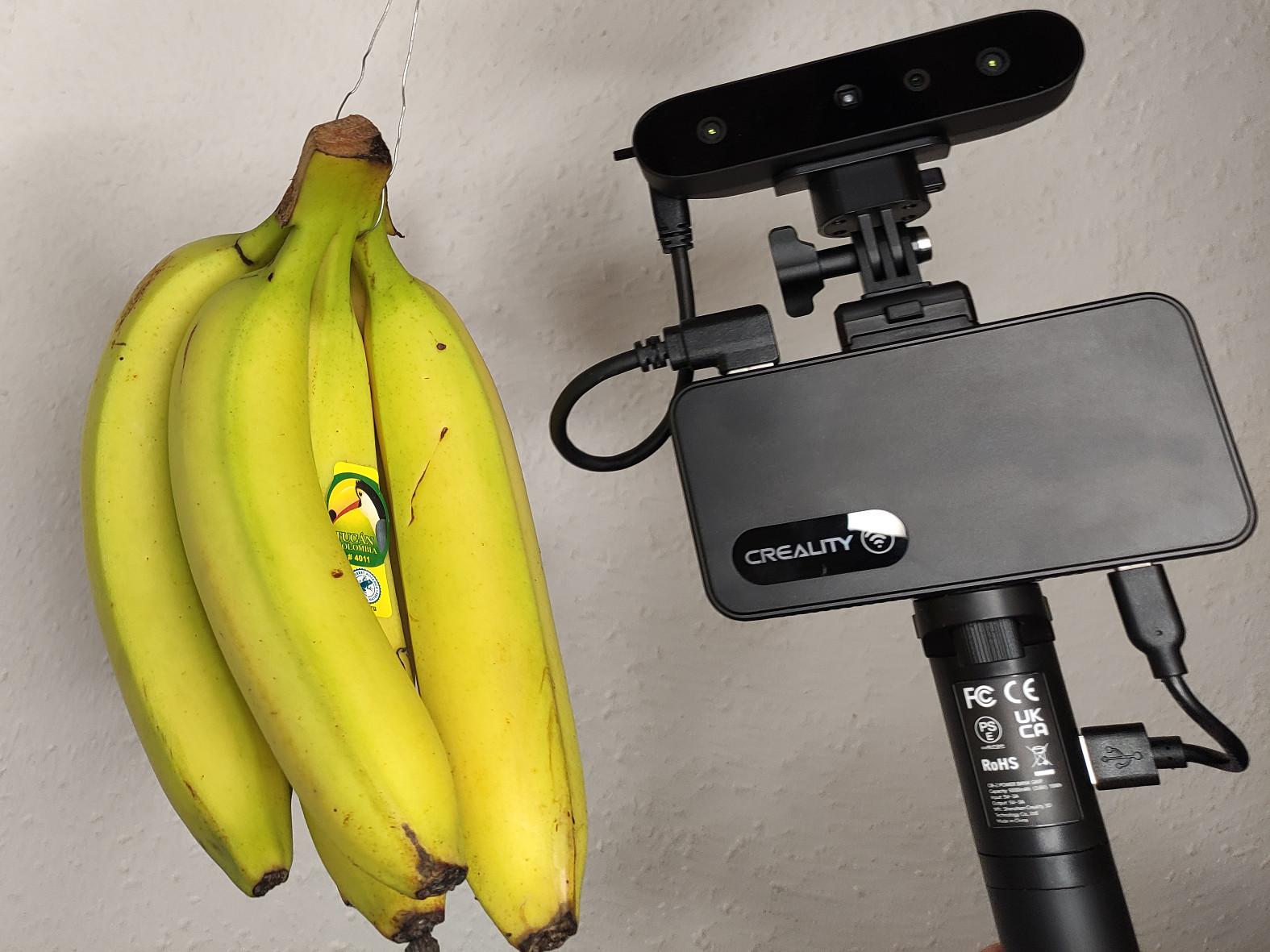 A Hand of Bananas 3D Scan 3d model