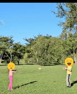 Zip ball 3d model