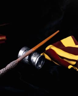 Nigel Wolpert's Wand - Harry Potter 3d model
