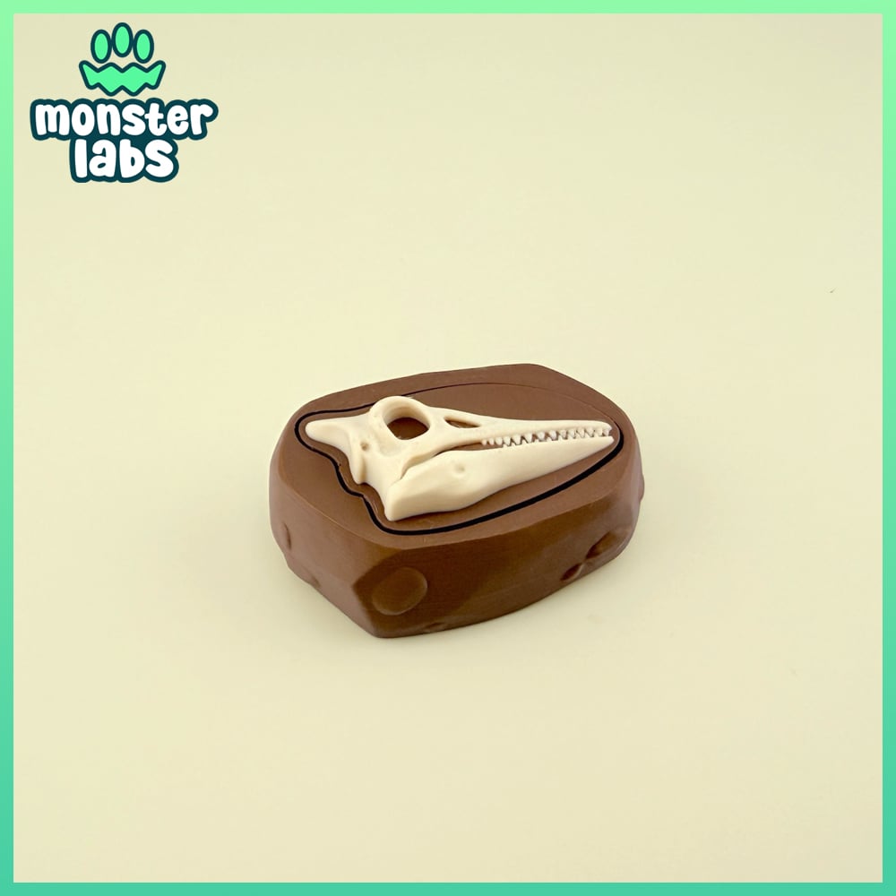 Dino Fossil Fidget Clicker Keychain Bundle 3d model