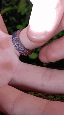 Fidget ring Zebra/tronco & heartbeat line 3d model