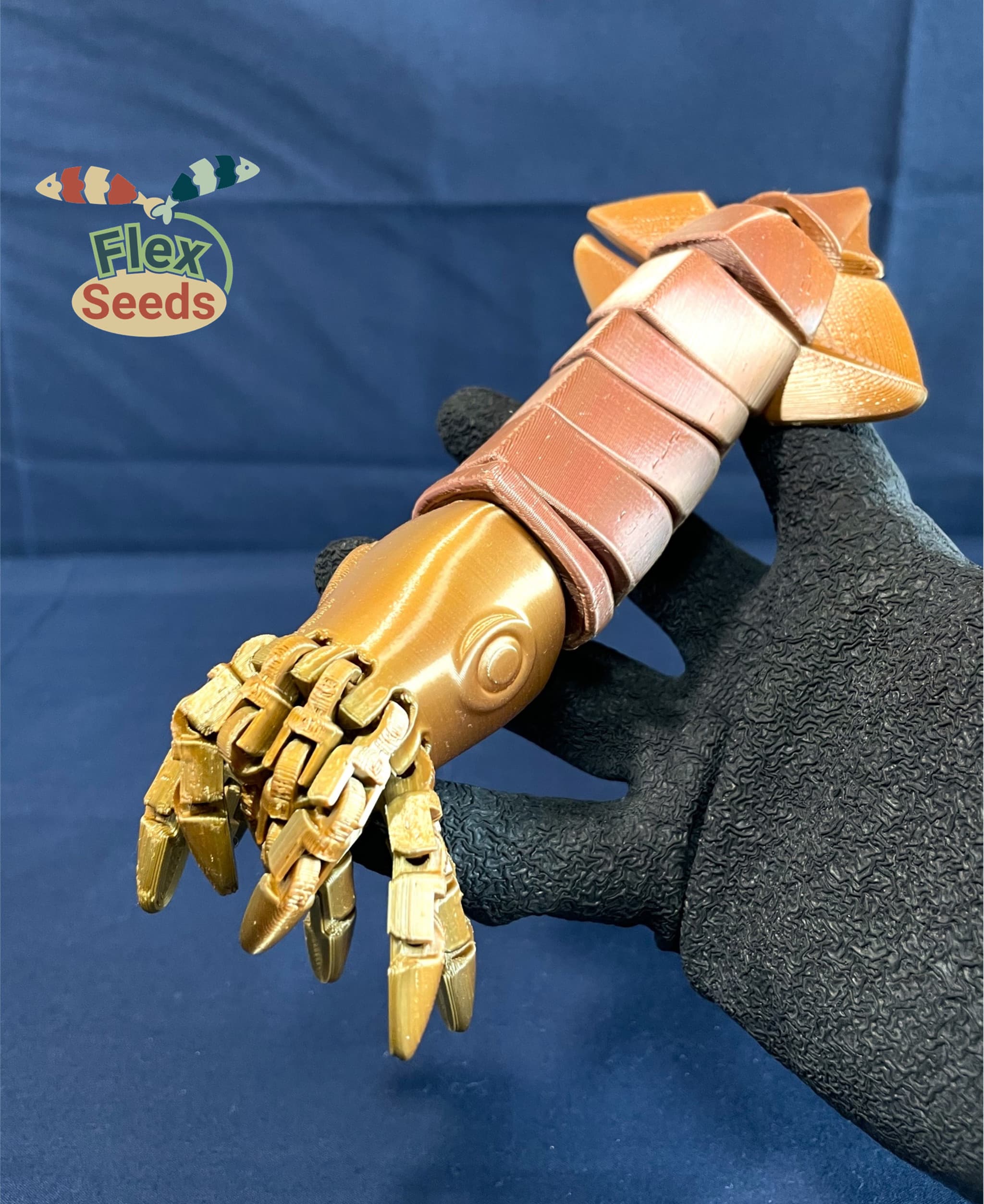 Flexi Squid, and Ammonite (print-in-place) 3d model