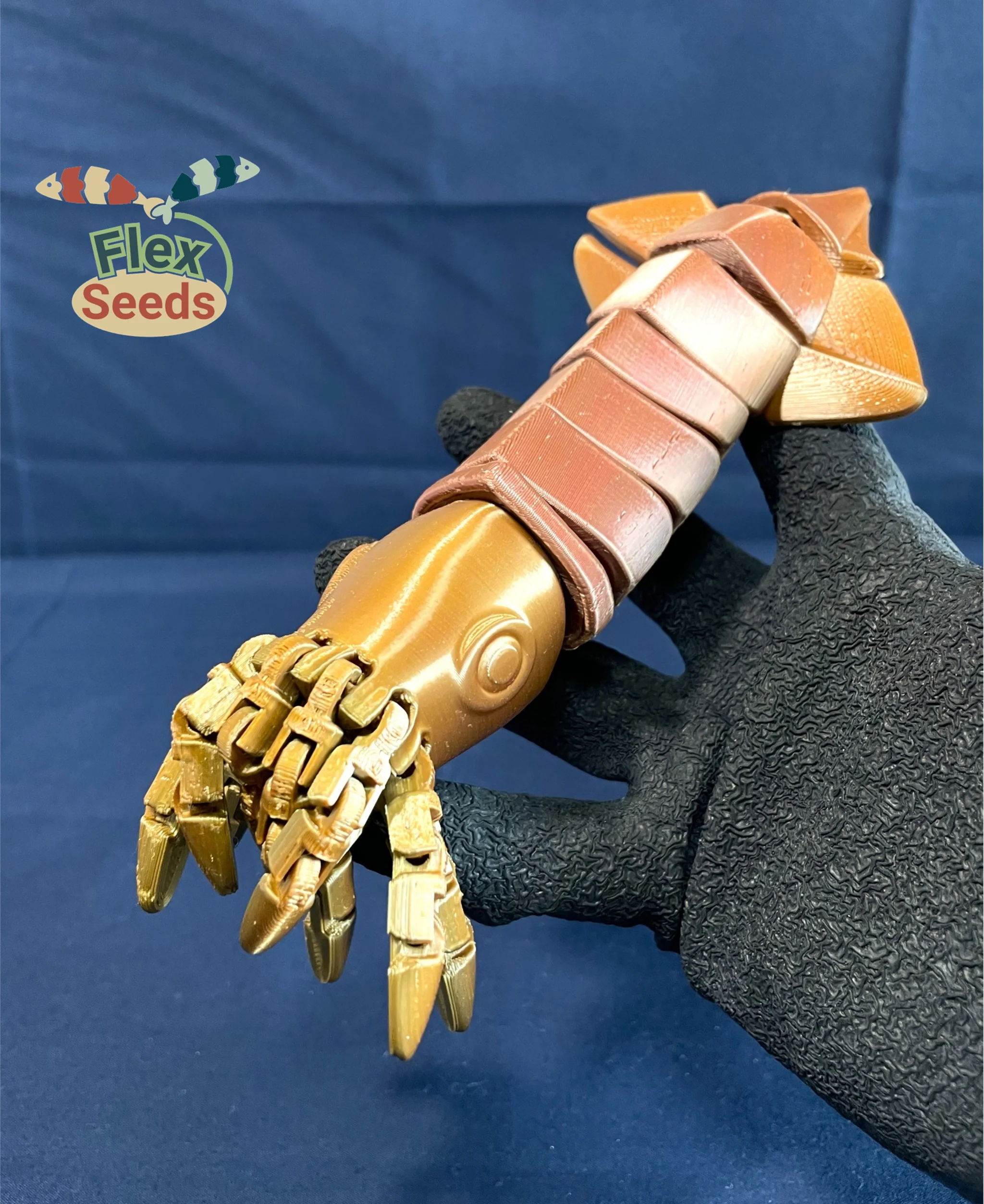 Flexi Squid, and Ammonite (print-in-place) 3d model