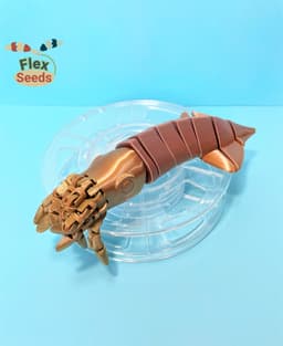Flexi Squid, and Ammonite (print-in-place) 3d model