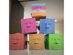 The Rock Calibration Cube 3d model