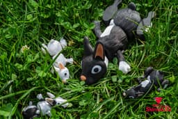 Rabbit 3d model