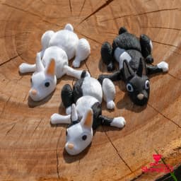 Rabbit 3d model