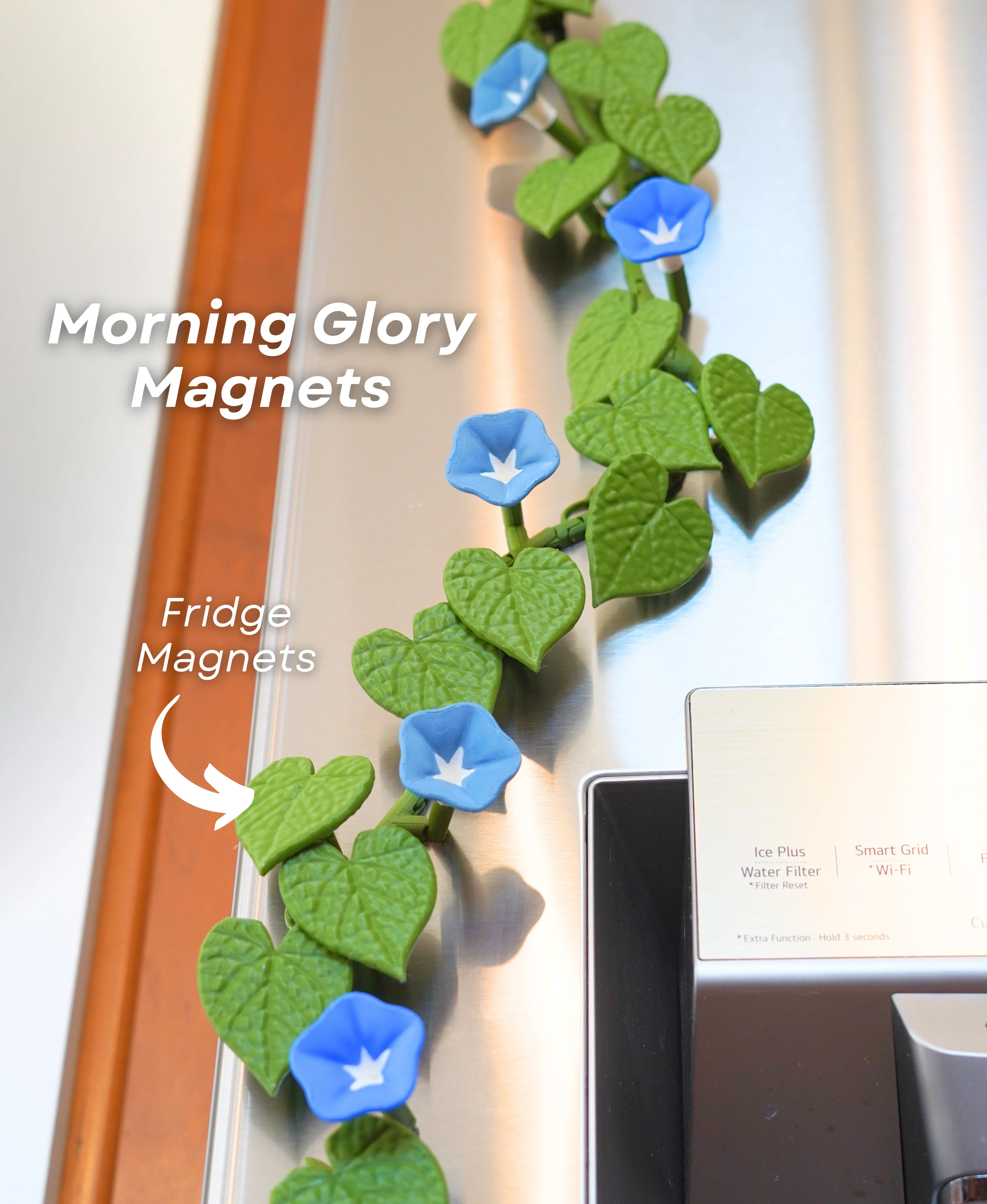 Morning Glory Magnets - Ivy Fridge Magnet - Flower Magnets 3d model