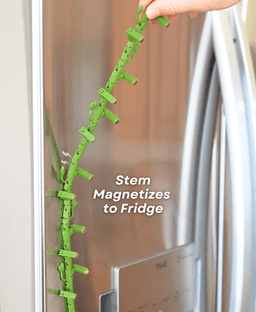 Morning Glory Magnets - Ivy Fridge Magnet - Flower Magnets 3d model