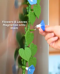 Morning Glory Magnets - Ivy Fridge Magnet - Flower Magnets 3d model