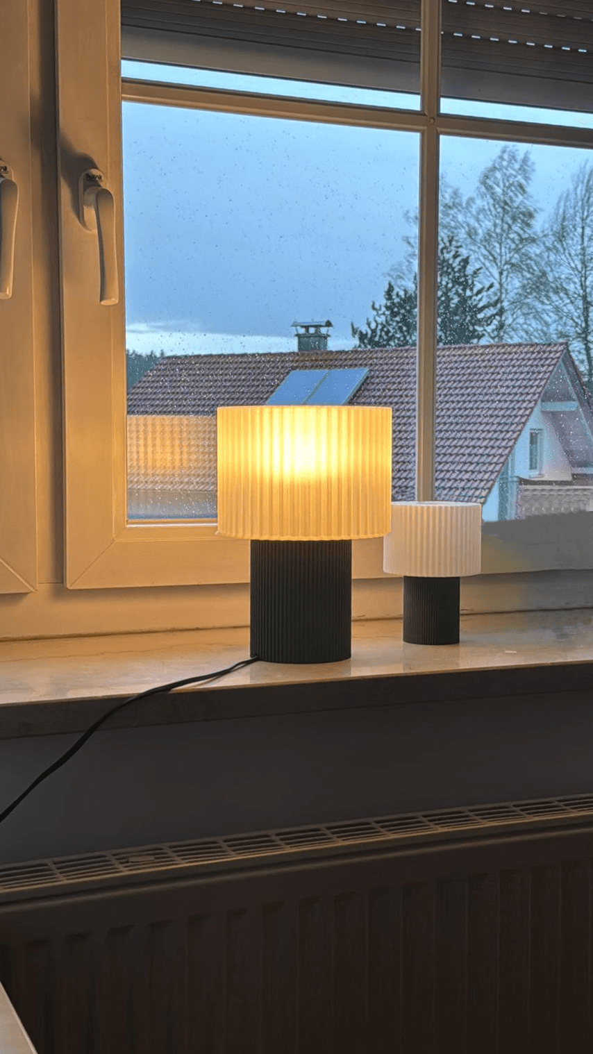 Cactus lamp 3d model