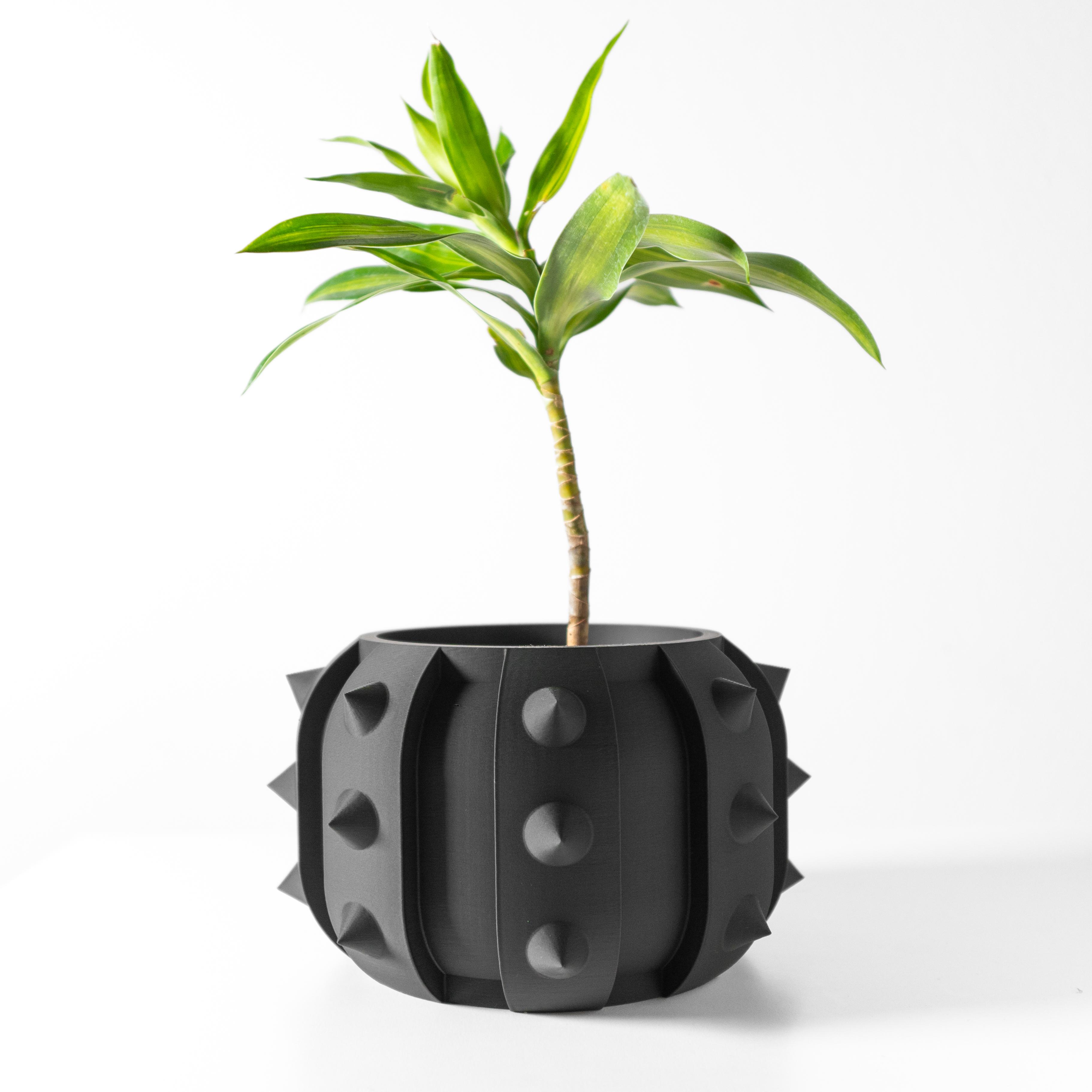 The Alver Planter Pot with Drainage Tray & Stand Included: Modern and Unique Home Decor for Plants 3d model
