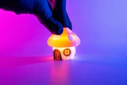 Mushroom Fairy House Lighted Clicker 3d model