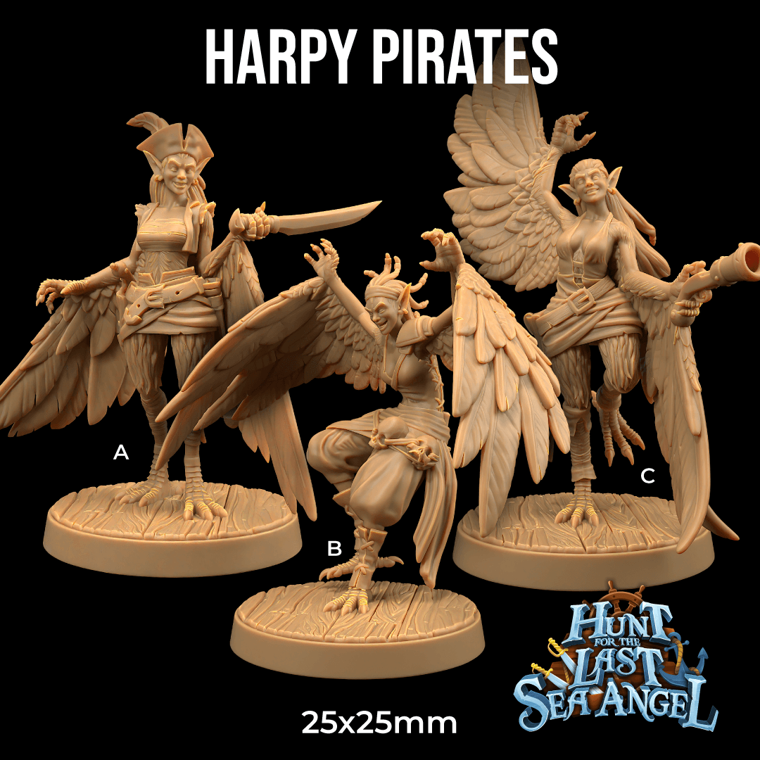 Harpy Pirates 3d model