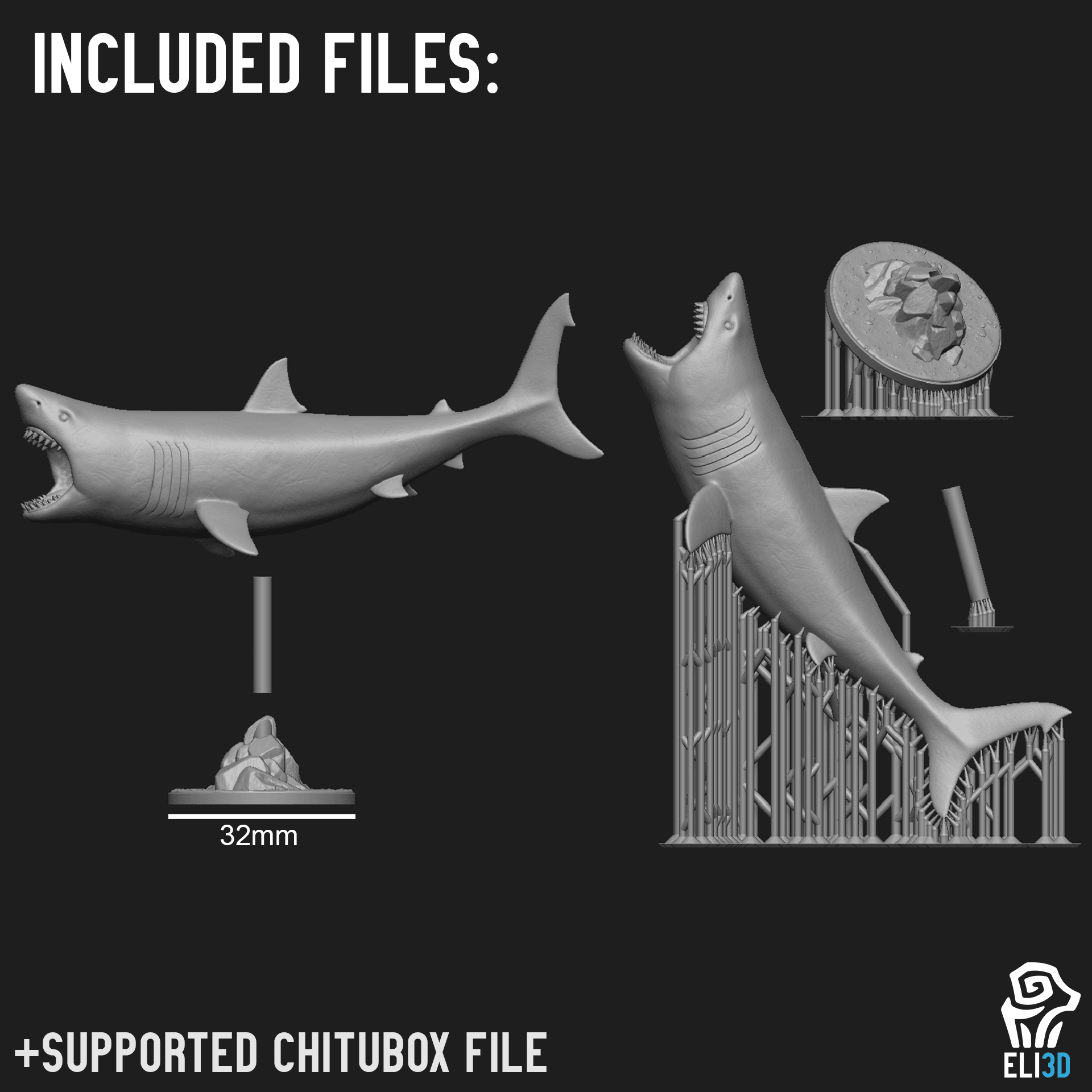 Animals - Ocean Wildlife 3d model