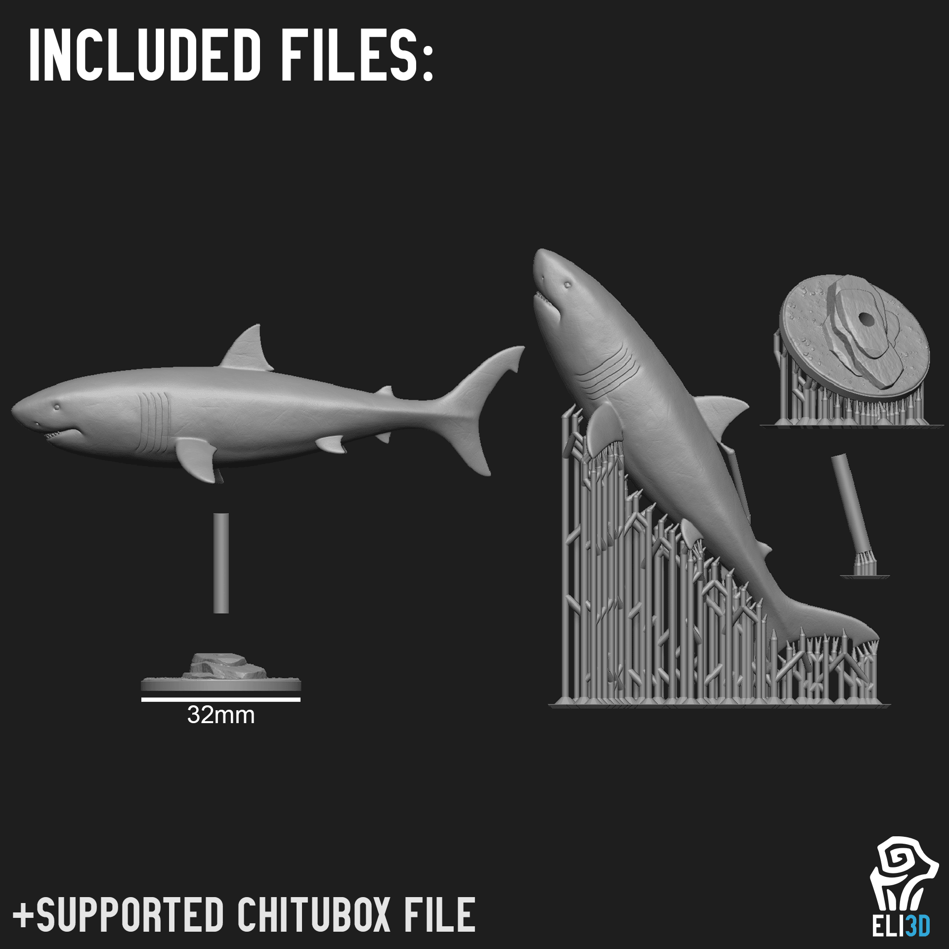 Animals - Ocean Wildlife 3d model