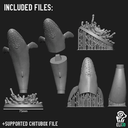 Animals - Ocean Wildlife 3d model