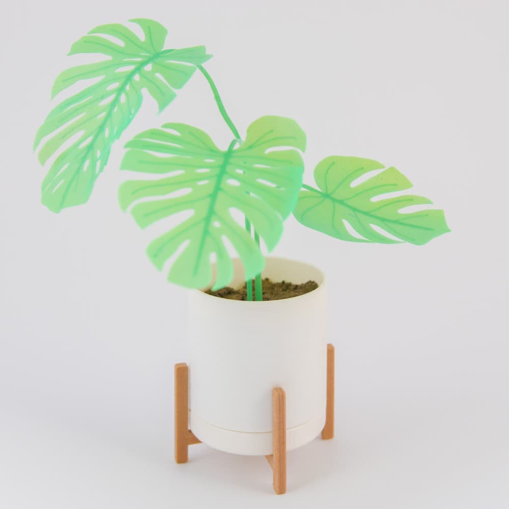 Mini Monstera & Planter 3d model