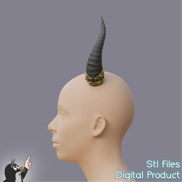 Fantasy Horns with Ornament Cosplay Set 3d model