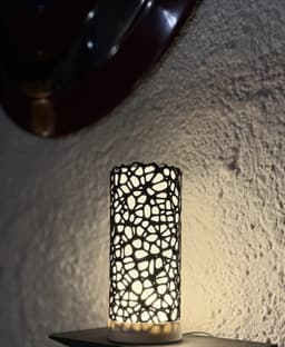 VENOM LAMP / VORONOI LAMP / LAMP KIT 001 3d model
