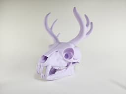 2025 Jackalope Flexi, Figurine, and Skull 3d model